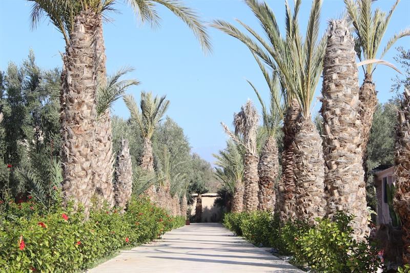 Riad Le Jasmin Taroudant Exterior foto